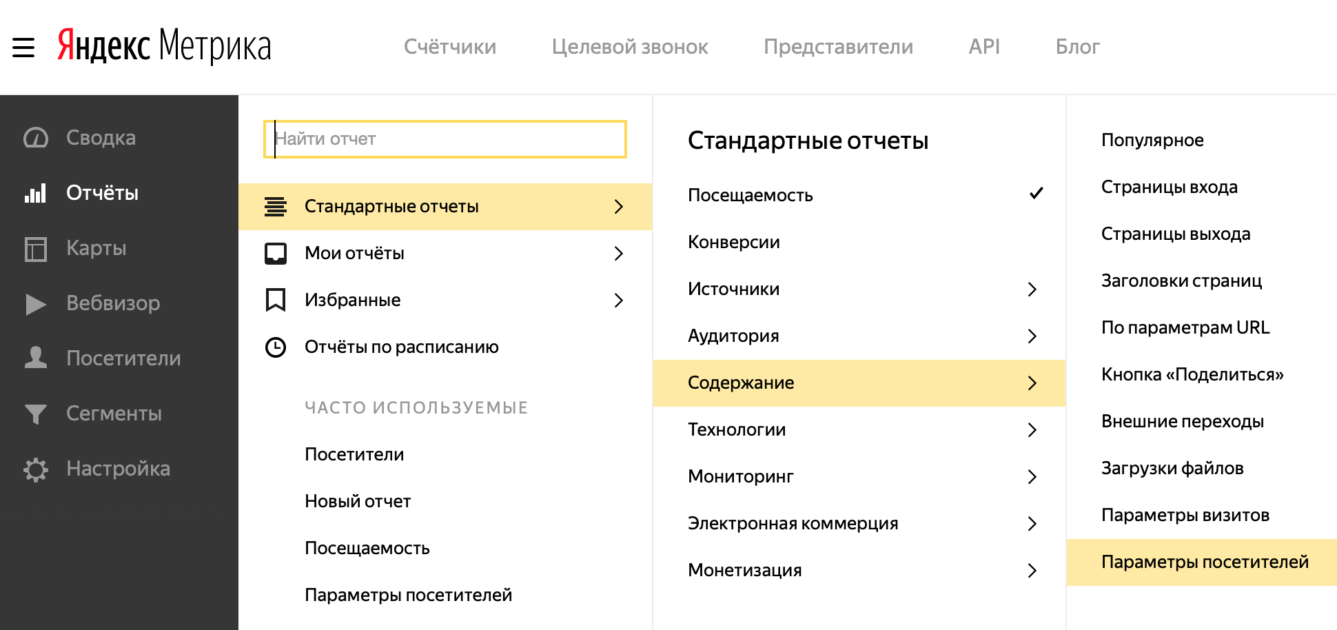 Раздел «Параметры посетителей» в Яндекс.Метрике